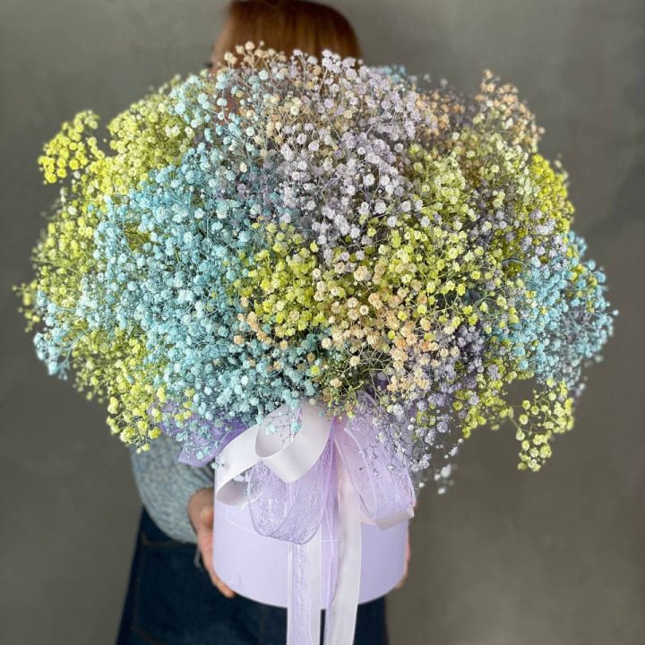 Rainbow BOX в Сириусе