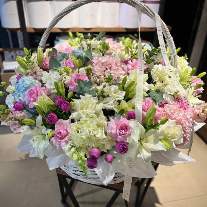 Корзина гигант в Сириусе