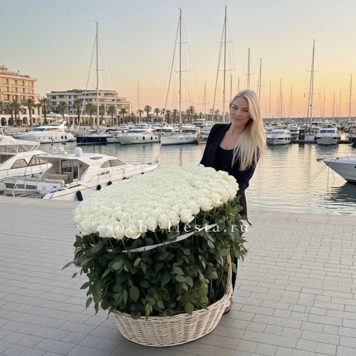 301 высокая роза в корзине в Сириусе