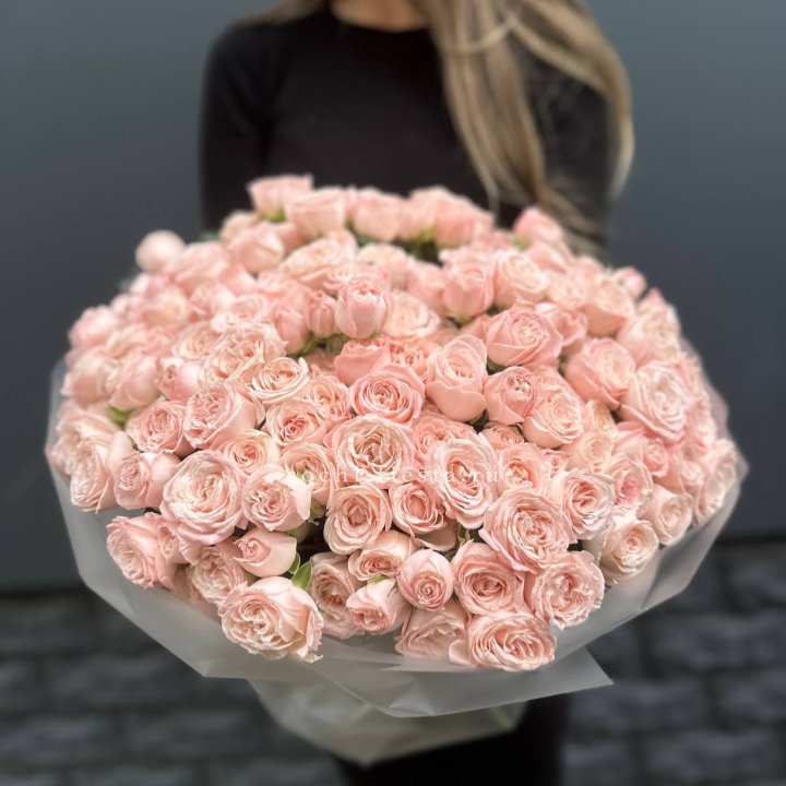 51 кустовая роза Бомбастик в Сириусе