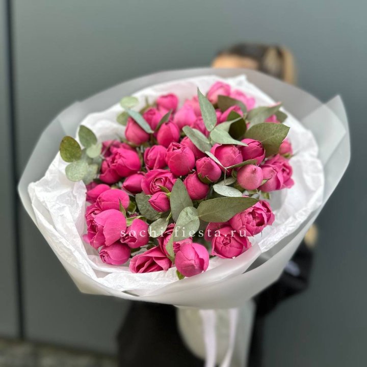 17 Мисти бабблс в Сириусе