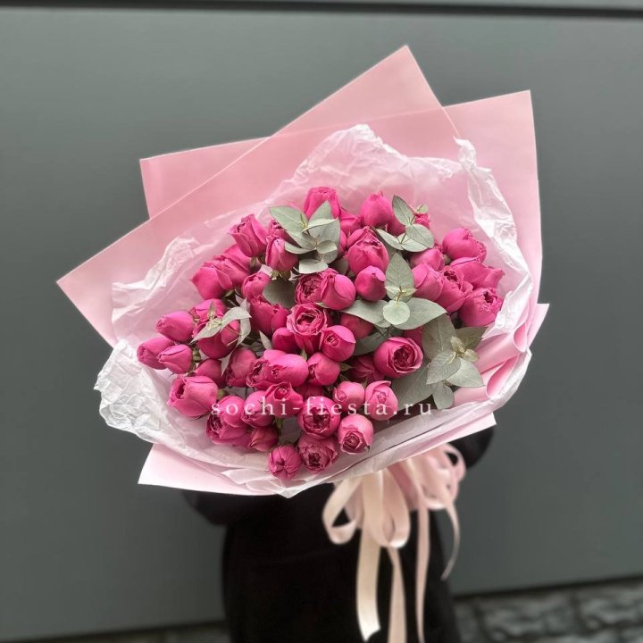 25 Мисти бабблс в Сириусе