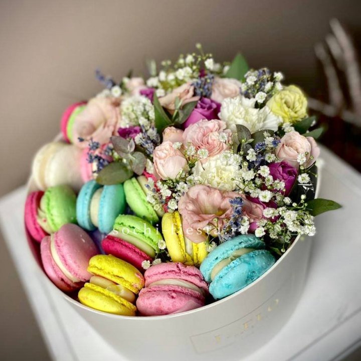 Creambox L в Сириусе