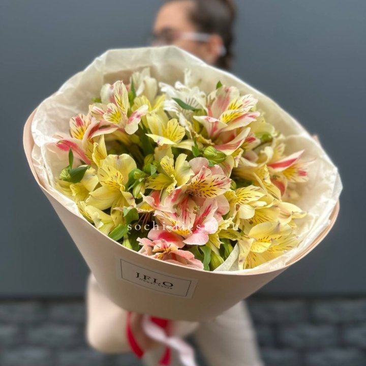 Альстромерии в нежном оформлении в Сириусе