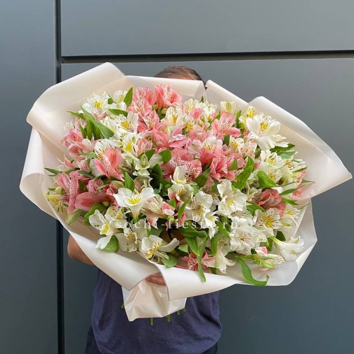 39 альстромерий в Сириусе