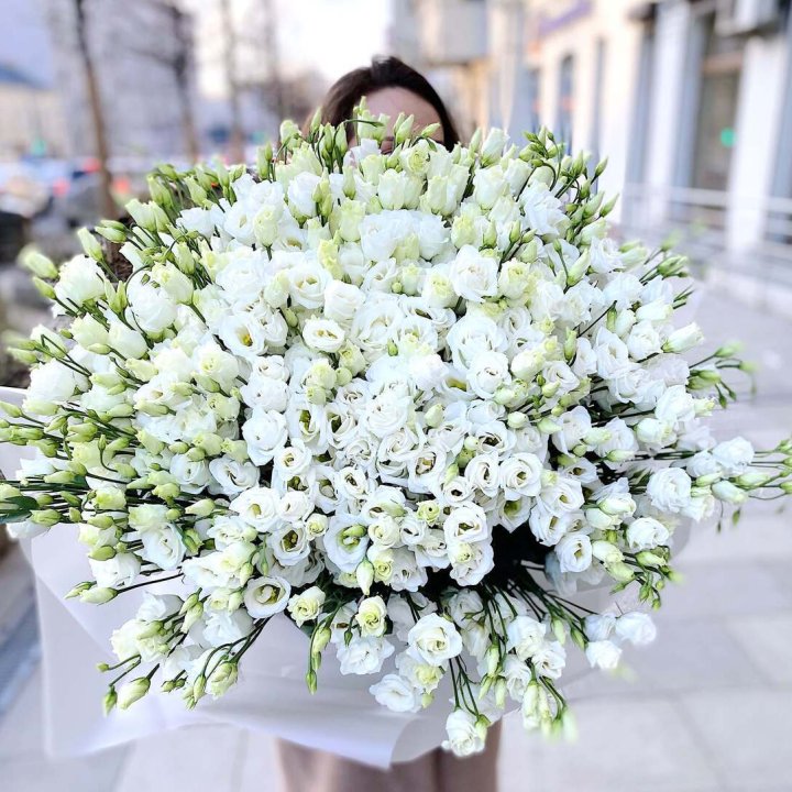 101 белая эустома в Сириусе