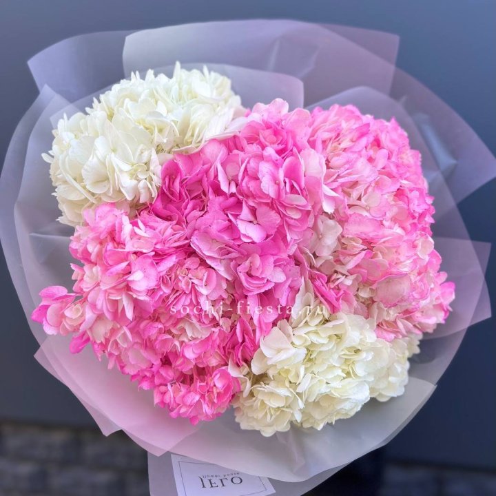 5 бело розовых гортензий в Сириусе