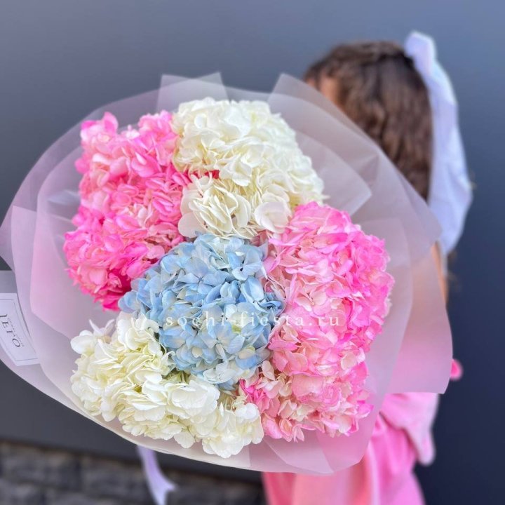 7 гортензий микс в Сириусе