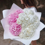 ГОРТЕНЗИИ в Array с доставкой и по самым низким ценам