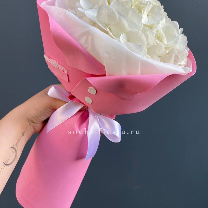 Гортензия в розовом пиджаке в Сириусе