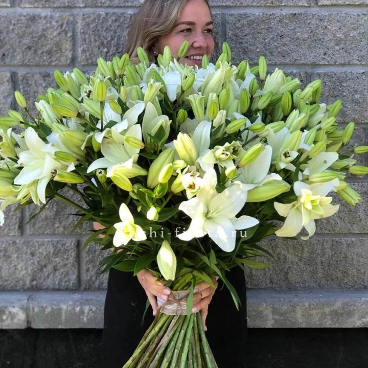 51 лилия в Сириусе