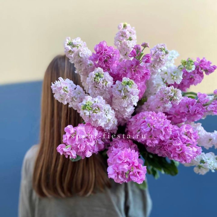 Охапка маттиолы в Сириусе