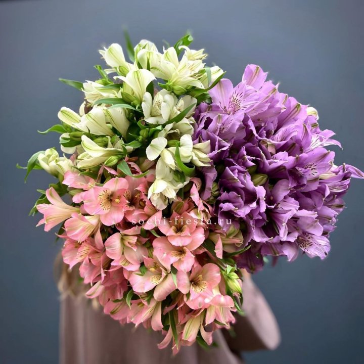 Охапка Альстромерии в Сириусе