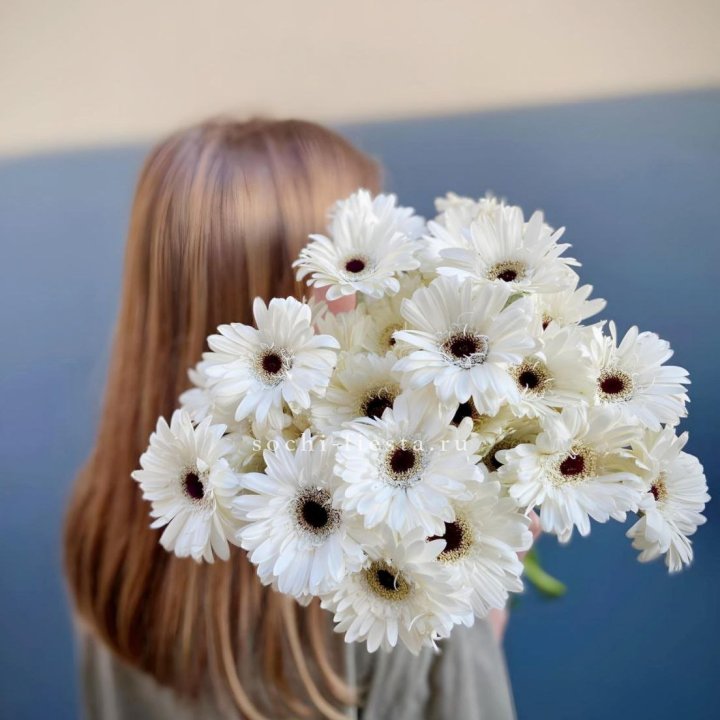 Охапка гербер в Сириусе