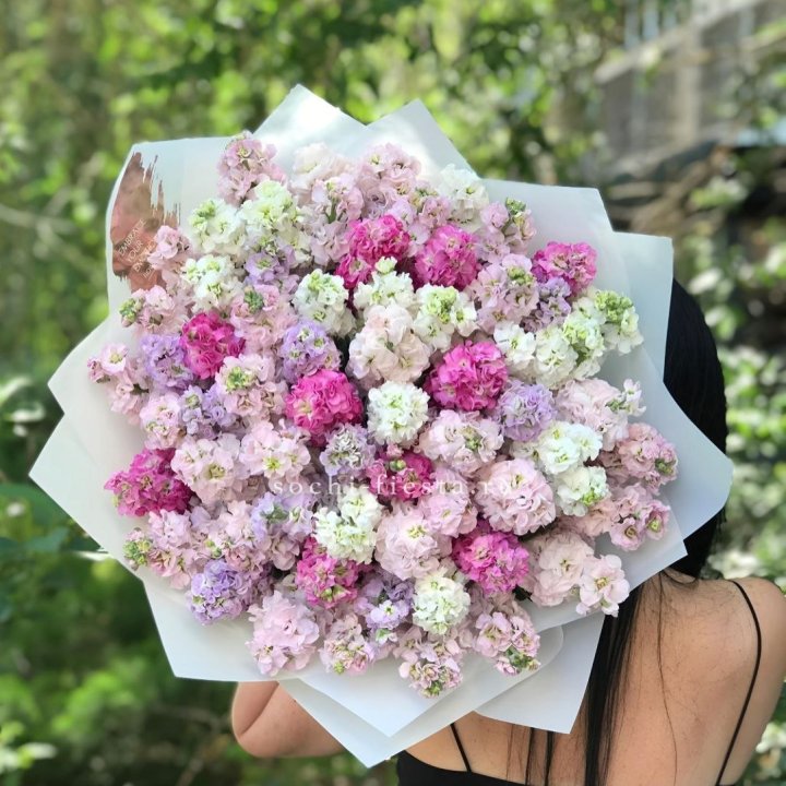 Букет ароматной маттиоллы №3 в Сириусе