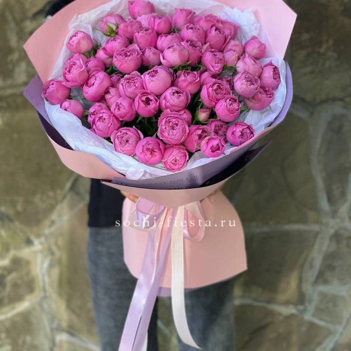 Pionlike в Сириусе