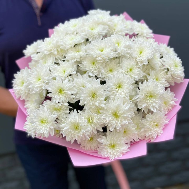  Букет 15 хризантем  в Сириусе