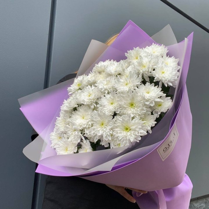  7 хризантем  в Сириусе