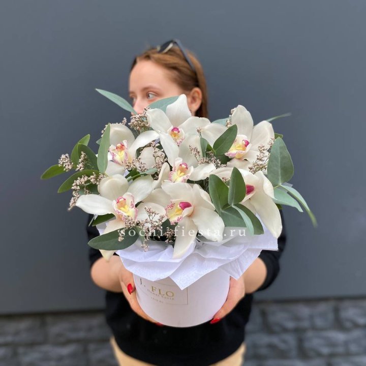 7 орхидей в боксе в Сириусе