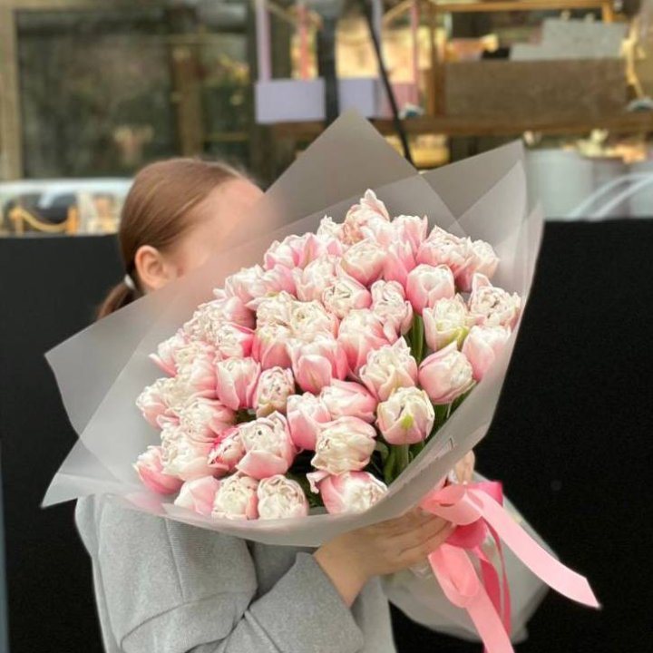 51 нежный тюльпан в Сириусе