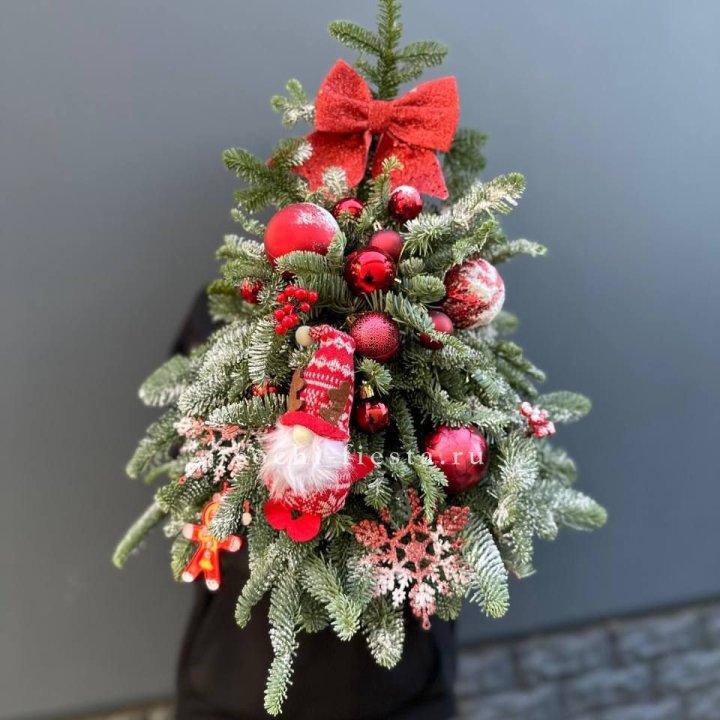 Новогодняя елочка "Ред" в Сириусе