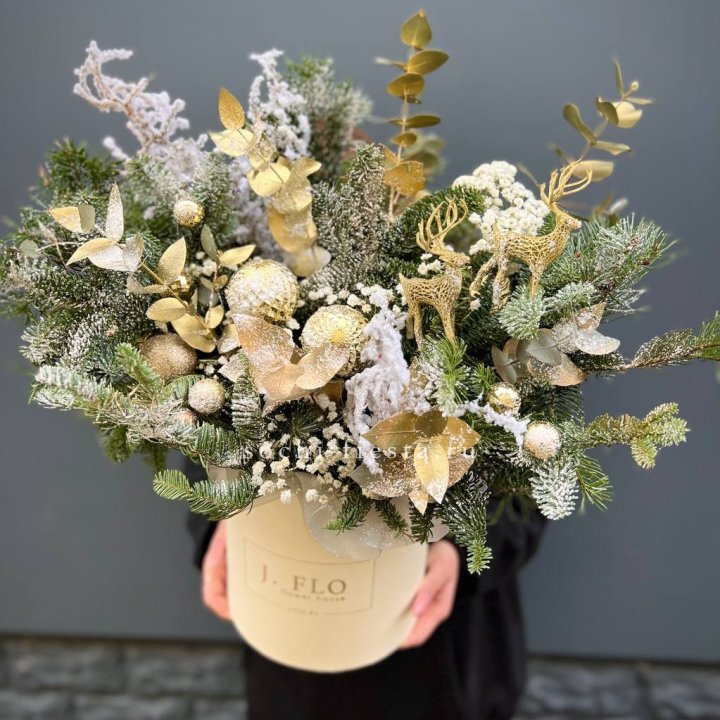 Золотой бокс с нобилисом в Сириусе