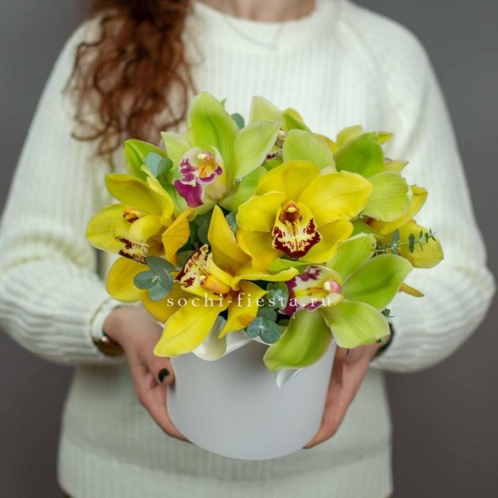 Бокс с орхидей №1 в Сириусе