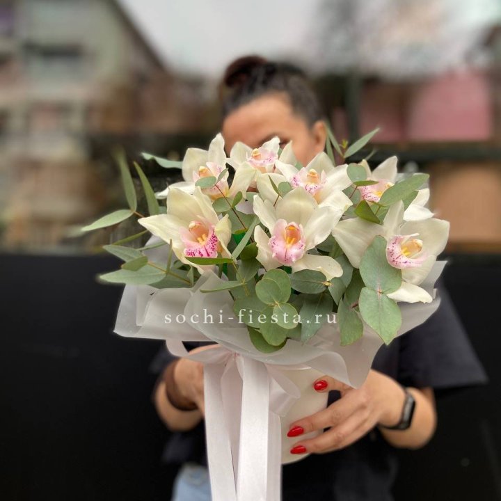 Бокс с орхидеями в Сириусе