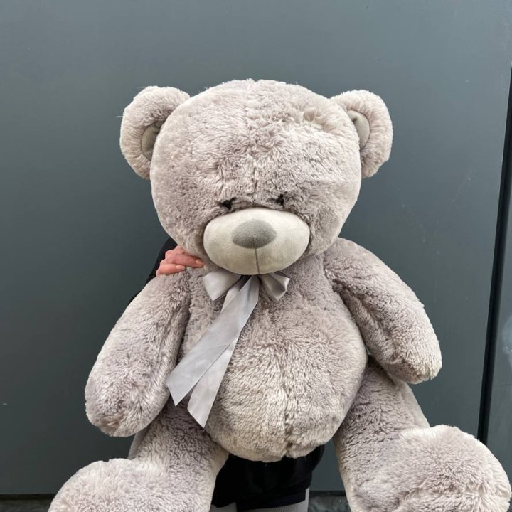 Плюшевый медведь №4 в Сириусе