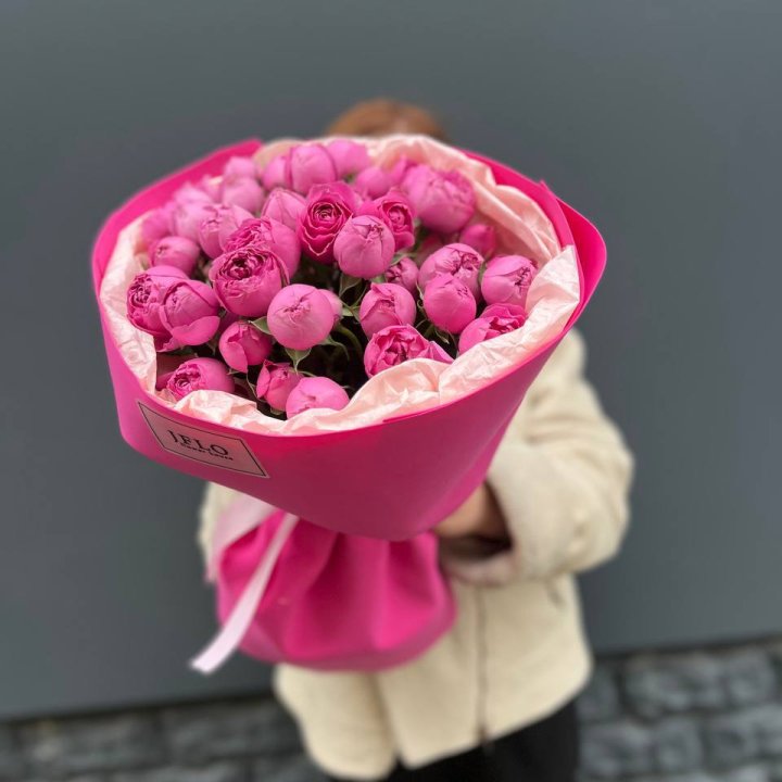 11 мисти баблс в Сириусе