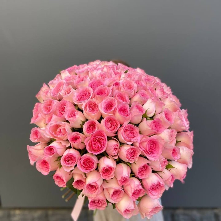 101 розовая роза в Сириусе