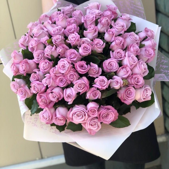 71 розовая роза "Маритим" в Сириусе