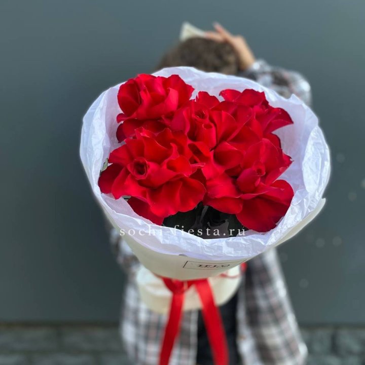 5 французских красных роз в Сириусе