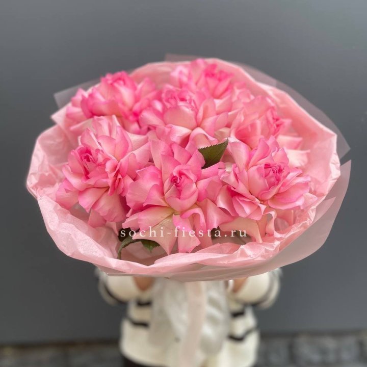 7 Роз Мандала в Сириусе