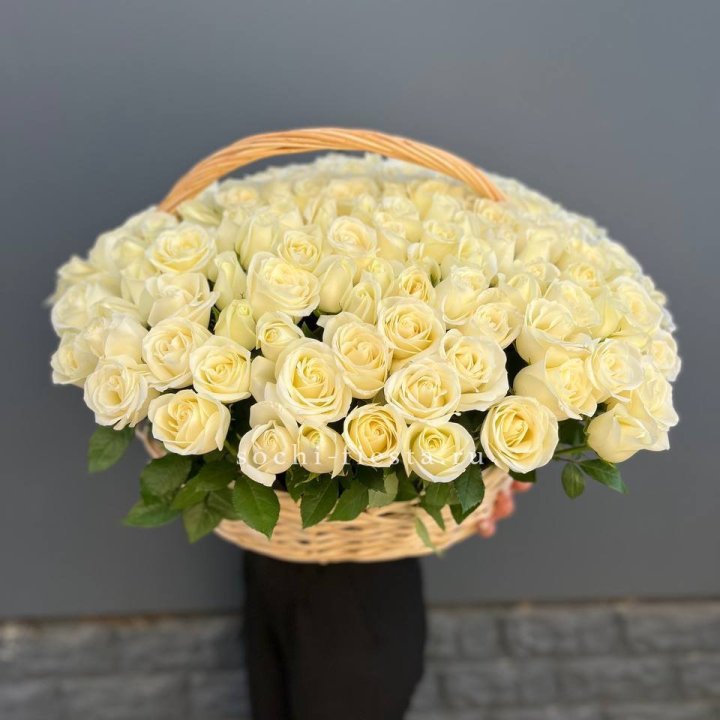 151 белая роза в корзине Rose Basket  в Сириусе