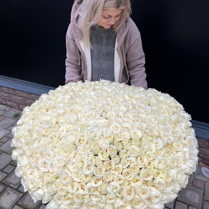 501 белая роза в корзине в Сириусе