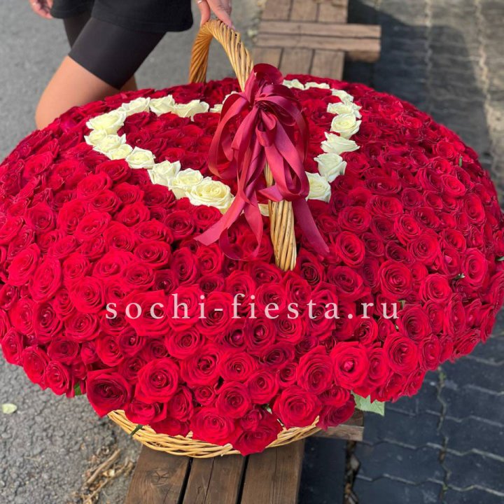 505 роз в Сириусе