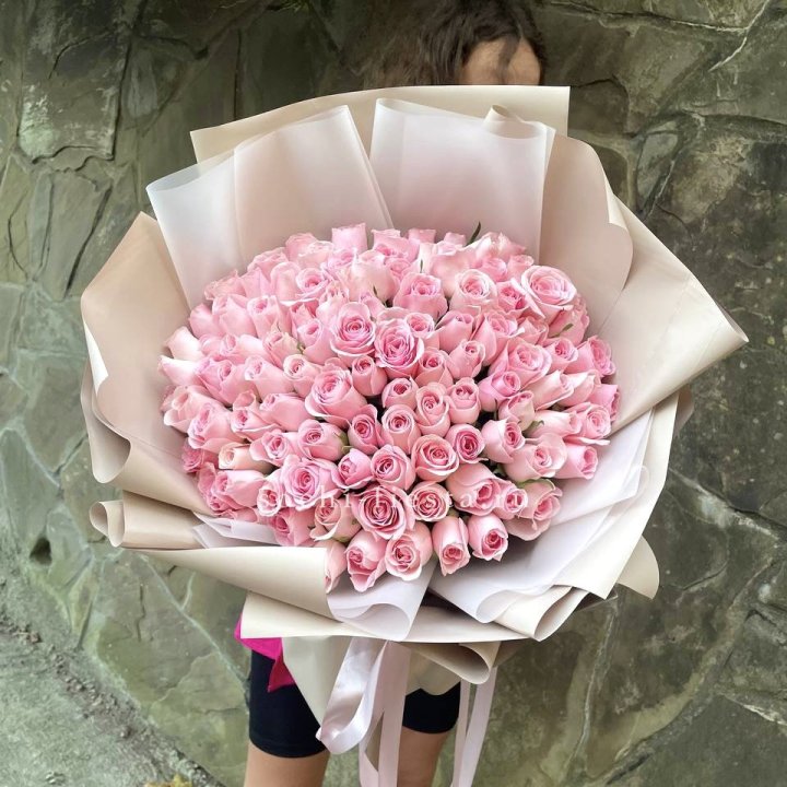 101 нежно-розовая роза Каролина  в Сириусе