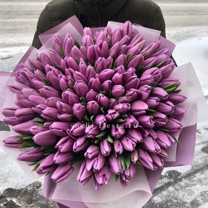 101 сиреневый тюльпан в Сириусе