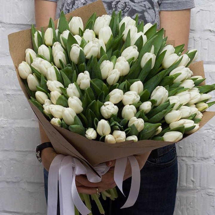 101 тюльпан SNOW в Сириусе