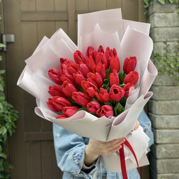 35 красных тюльпанов в Сириусе