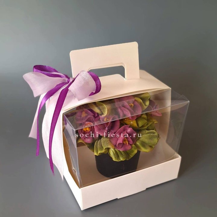  Зефир "Фиалка" в Сириусе