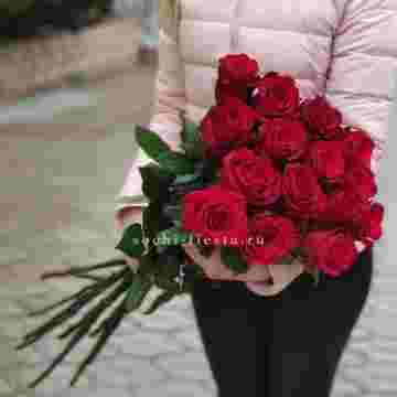15 высоких красных роз в Сириусе