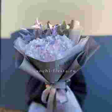 Гортензия "Violet sky" в Сириусе
