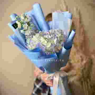 Гортензия "Blue sky" в Сириусе